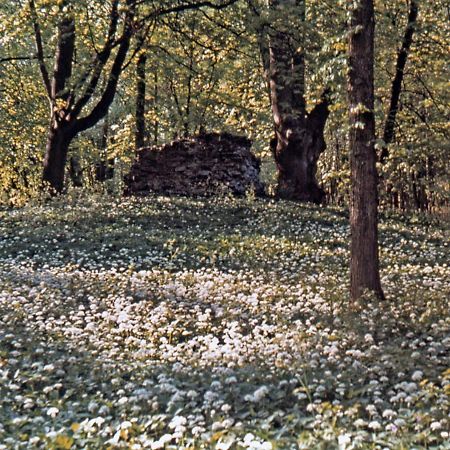 Kvarnvillan Lummelundsbruk VBY Zewnętrze zdjęcie
